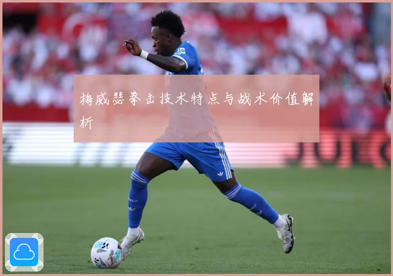 梅威瑟拳击技术特点与战术价值解析