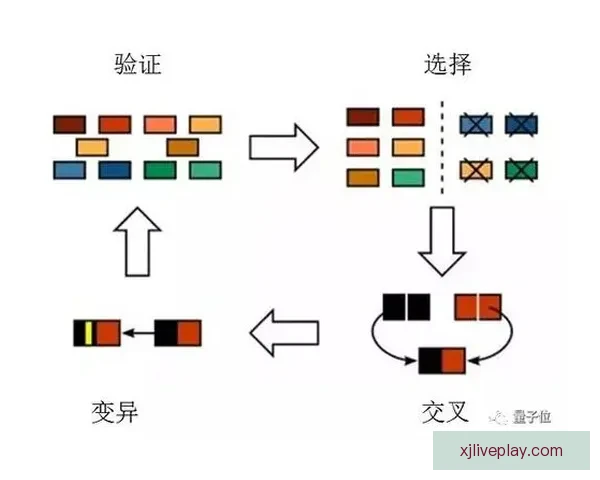 世界杯竞猜赔率解析与热门球队胜负趋势深度剖析